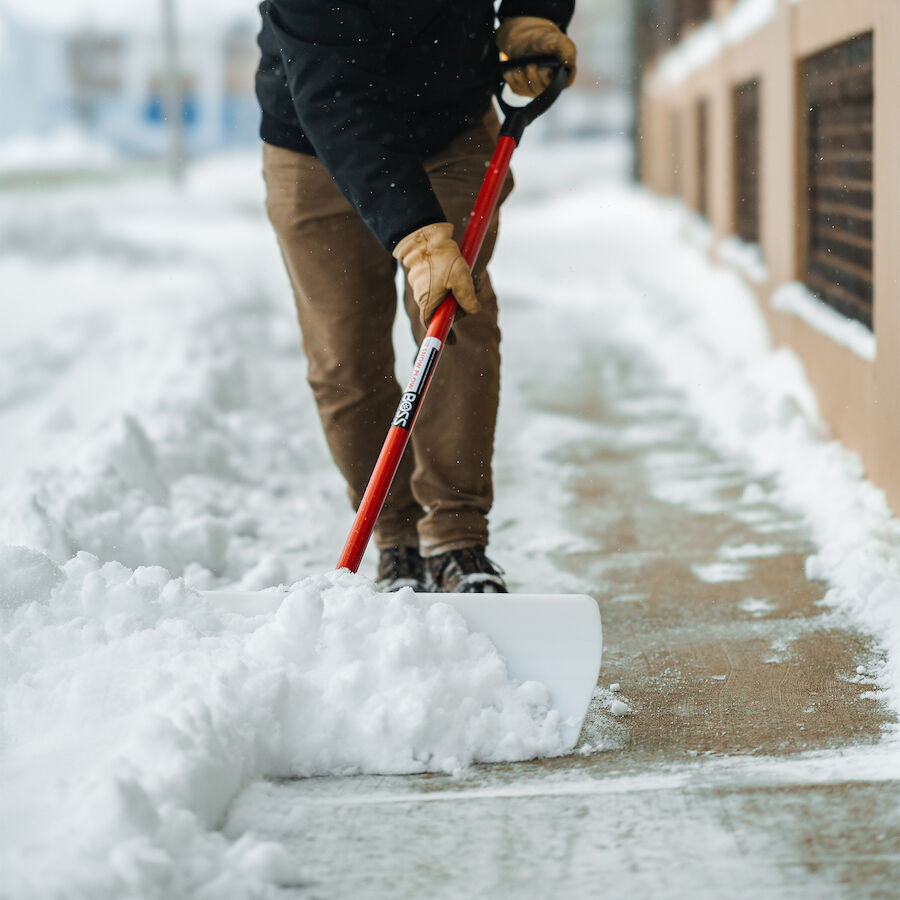 Boss store snow shovel