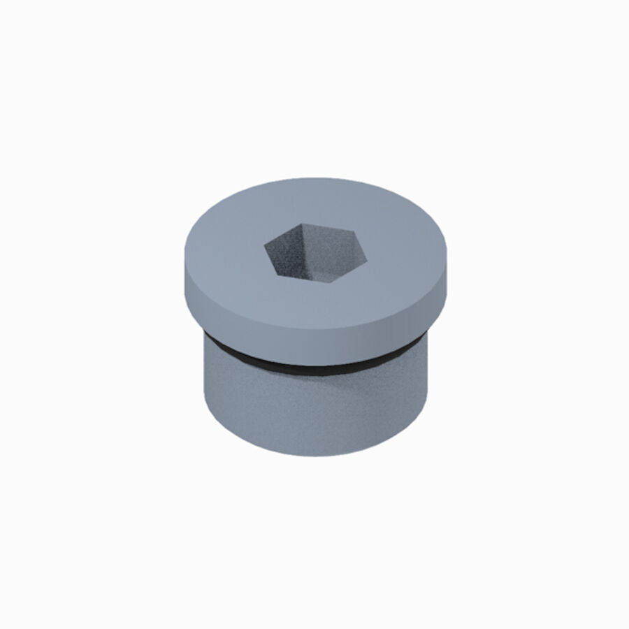 PLUG ASM W/MAGNET