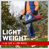 Light weight 6.66 lbs and low noise