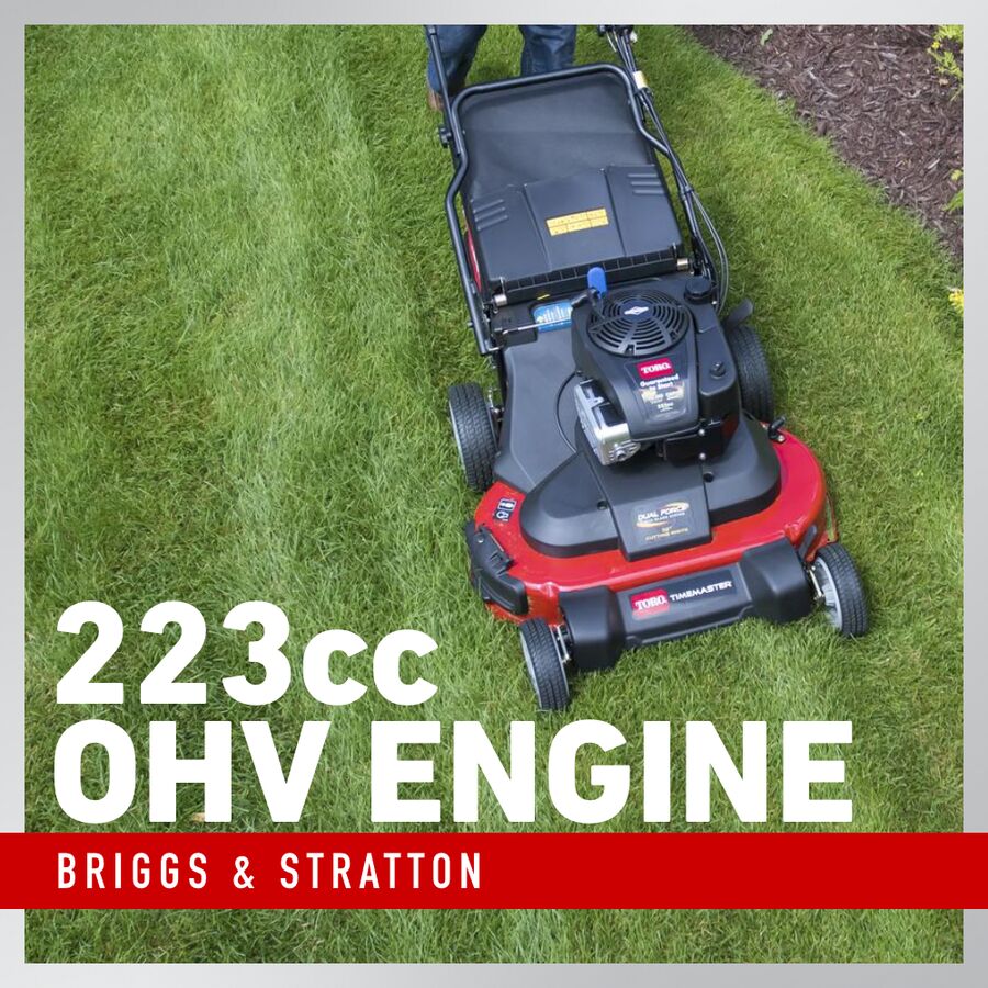 Briggs & Stratton 233cc OHV Engine