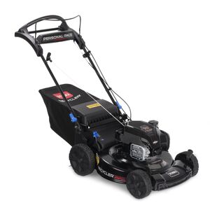 Walk Behind Lawn Mowers Push Self Propelled Gas and Electric Toro Toro