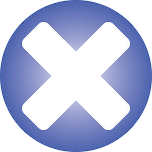 Standard Check Valve