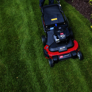 30 in. Gas Lawn Mower with Electric Start, TimeMaster, Toro