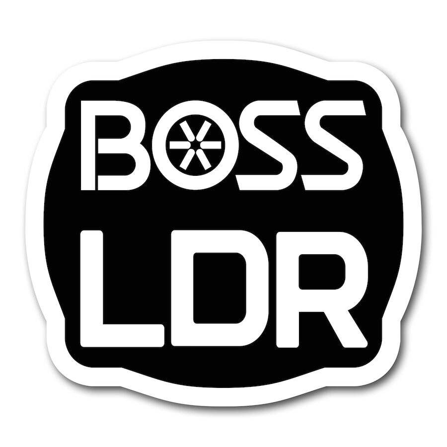 LDR Box Plow Decals