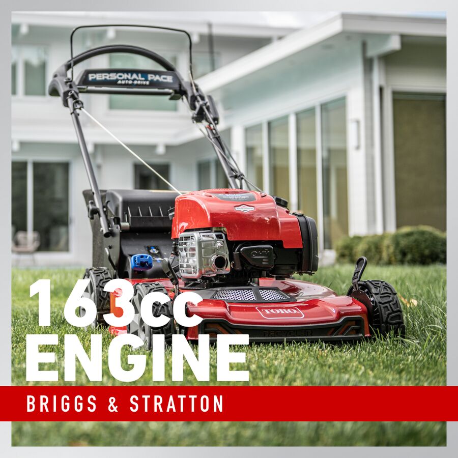 Briggs & Stratton 163cc Engine