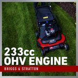 Briggs & Stratton 233cc OHV Engine