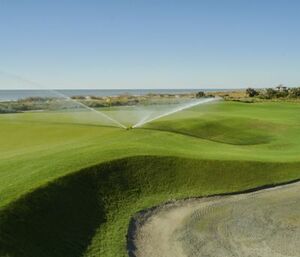 Designed for Performance and Reliability