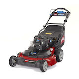 TimeMaster® TM76 76 cm Lawn Mower 21810