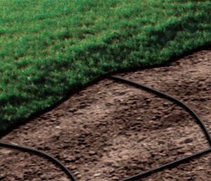 Opzioni superficiali o interrate