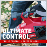 Ultimate control - cruise control and speed trigger