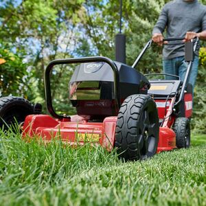 Superior Quality of Cut