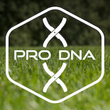 Pro DNA