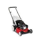 Toro with honda online engine