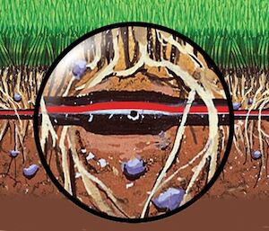 Protezione ROOTGUARD approvata dal governo statunitense