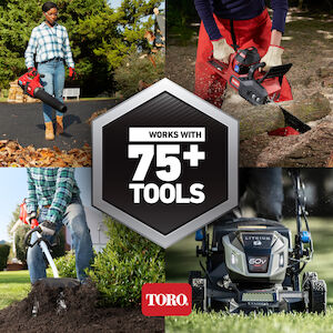 Toro Flex Force 60V Trimmer and Leaf Blower Combo Kit 51881 from