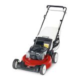 21" (53cm) Variable Speed Mower (21352)