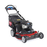 TimeMaster® TM76 76 cm Lawn Mower 21810