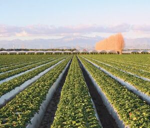 AG Series Controller