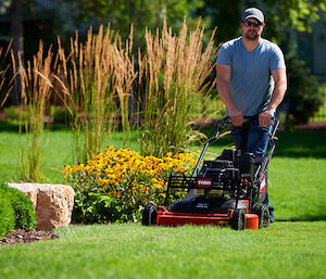 Toro 30 Turfmaster HDX Kohler Engine (22235)