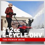 21 in. (53 cm) Power Clear® 721 E Gas Snow Blower