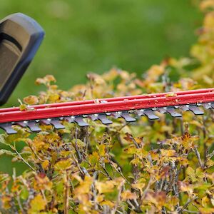 Toro 60V Max Revolution Battery Hedge Trimmer (Bare Tool)