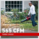 60V MAX* 110 mph Brushless Leaf Blower with 2.0Ah Battery