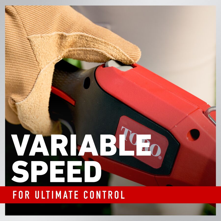 Variable Speed for Ultimate Control