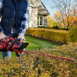 Jardinero sosteniendo un cortasetos eléctrico para cortar la copa del árbol  en el jardín