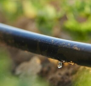 Sweet Spot Drip Tape