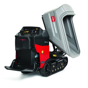 Ultra Buggy® e2500-TS