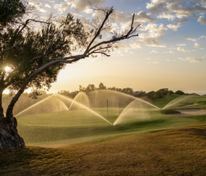 Automatically safeguard your course