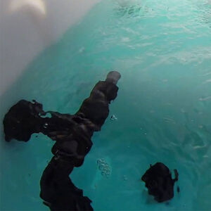 Spray Tank Agitation System