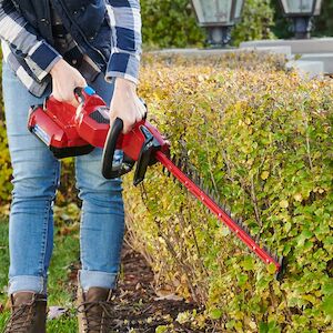 60V 20-Inch Cordless Pole Hedge Trimmer