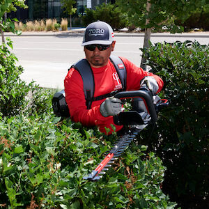 Toro on sale bush trimmer