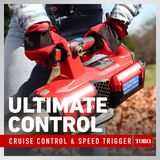 Ultimate control - cruise control and speed trigger