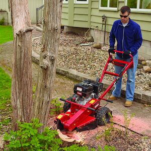 SGR-13 grinding a stump near a house