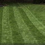 Video-toro-striping-60V.jpg