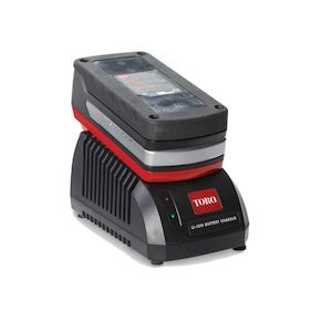 20V Max* Lithium Ion Battery