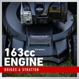 Briggs & Stratton 163cc Engine