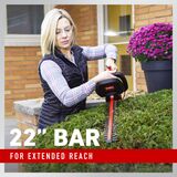 22 inch bar for extended reach