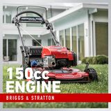 150cc Briggs & Stratton Engine 