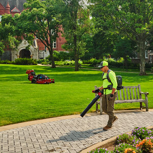 Image of man using a Toro backpack blower on a paver sidewalk.