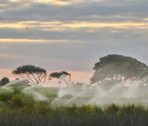 Runs automatic programs