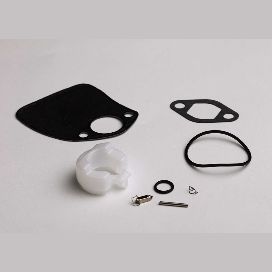 Carburetor Float and Needle Kit