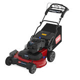 TimeMaster® TM76 76 cm Lawn Mower 21815