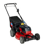eRecycler™ eS52VST 52cm Lawn Mower Flex-Force Power System™ 21853