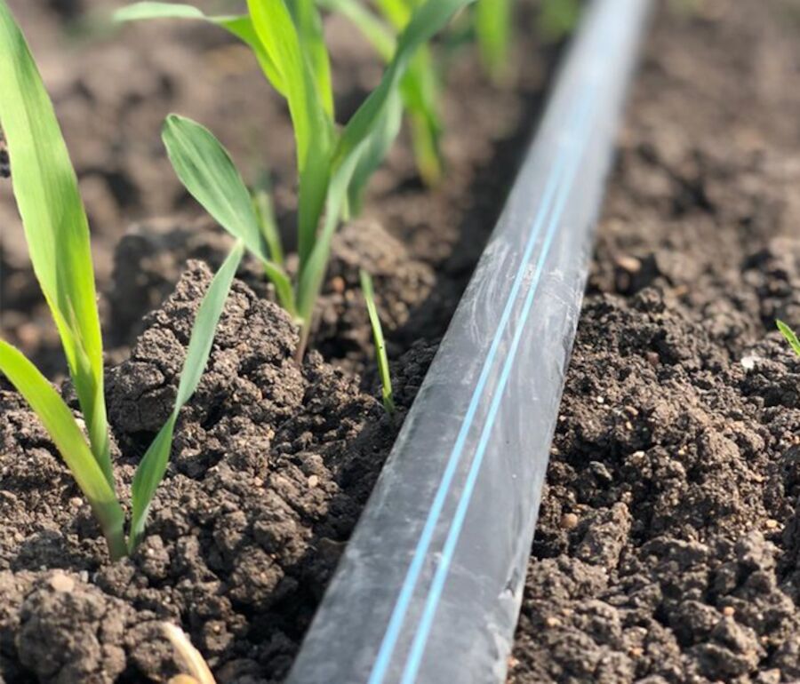 Aqua-Traxx Azul Beauty Sweet Spot