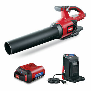 Rechargeable store yard blower