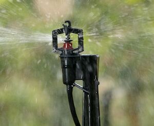 Micro-Sprinkler VI Classic