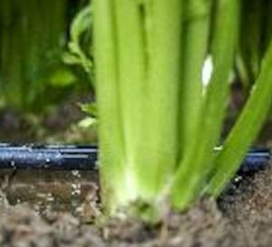 flow-regulating feature image